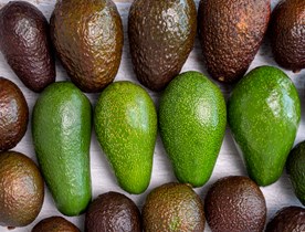 Spoločnosť Fruit Services Collective zvyšuje kapacitu chladiarenských skladov pomocou moderných regálov pushback