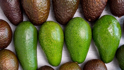 Spoločnosť Fruit Services Collective zvyšuje kapacitu chladiarenských skladov pomocou moderných regálov pushback